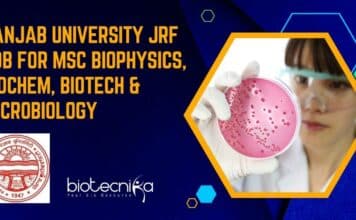 Panjab University JRF Job