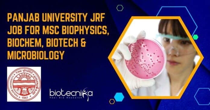 Panjab University JRF Job