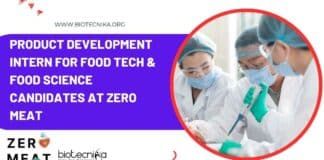 Product Development Intern Job