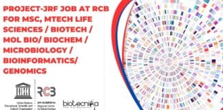 Project-JRF Post at RCB