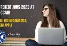 Project Jobs 2023