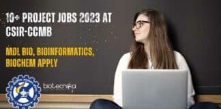 Project Jobs 2023