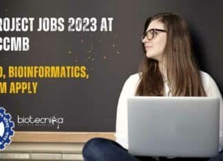 Project Jobs 2023