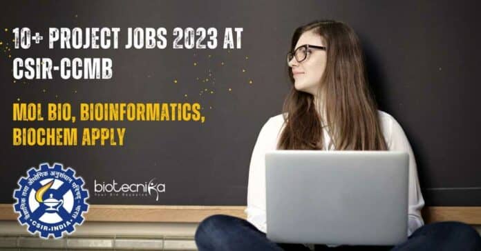 Project Jobs 2023