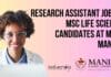 Research Assistant Job