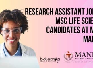 Research Assistant Job