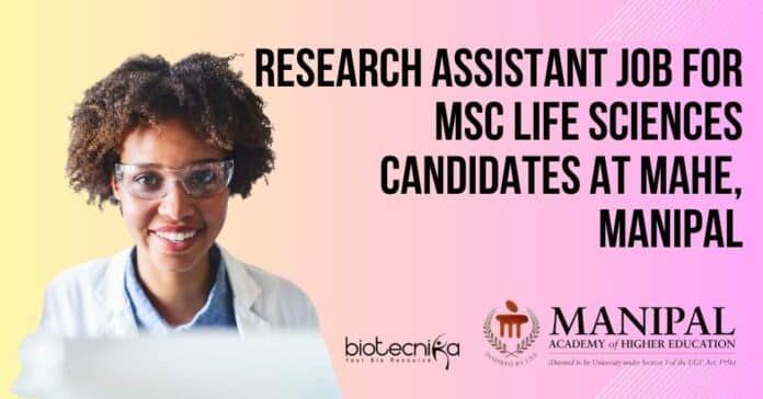 Research Assistant Job