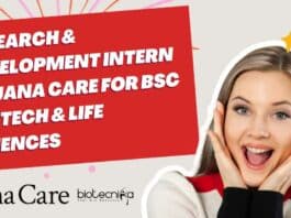 Research & Development Intern