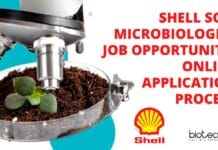 Shell Soil Microbiologist Job Opportunity, Online Application Process Shell Soil Microbiologist Job