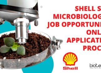 Shell Soil Microbiologist Job