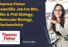 Thermo Fisher Scientific Job For BSc, MSc & PhD Biology, Molecular Biology, Biochemistry Thermo Fisher Scientific Job