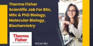 Thermo Fisher Scientific Job