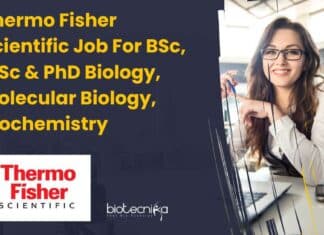 Thermo Fisher Scientific Job