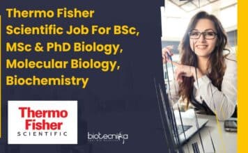 Thermo Fisher Scientific Job