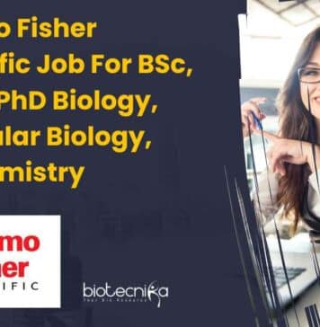 Thermo Fisher Scientific Job
