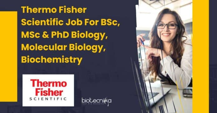 Thermo Fisher Scientific Job