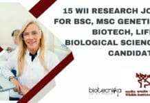 WII Research Jobs