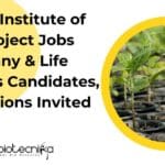 WII Research Projects Jobs