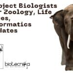 ZSI Project Biologists Job For Zoology, Life Sciences, Bioinformatics Candidates ZSI Project Biologists Job