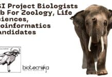 ZSI Project Biologists Job For Zoology, Life Sciences, Bioinformatics Candidates ZSI Project Biologists Job