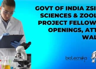 ZSI Project Fellow Jobs