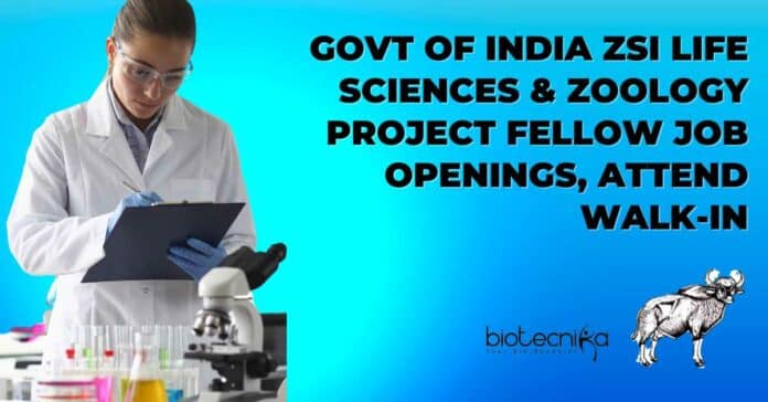 ZSI Project Fellow Jobs