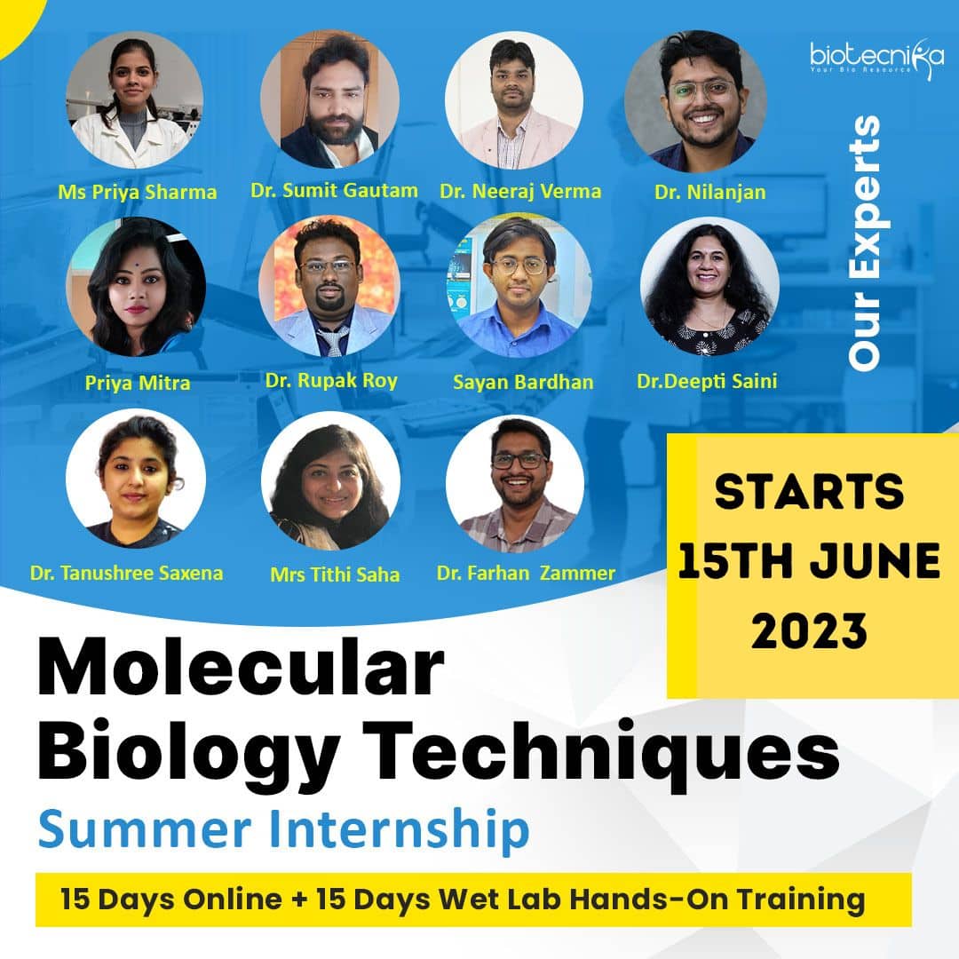 First-Time Biotech Internship Applicants