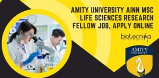 Amity University AINN JRF