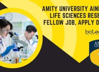 Amity University AINN JRF