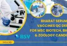BSV Jobs For MSc