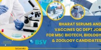 BSV Jobs For MSc