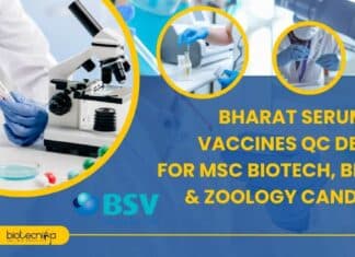 BSV Jobs For MSc
