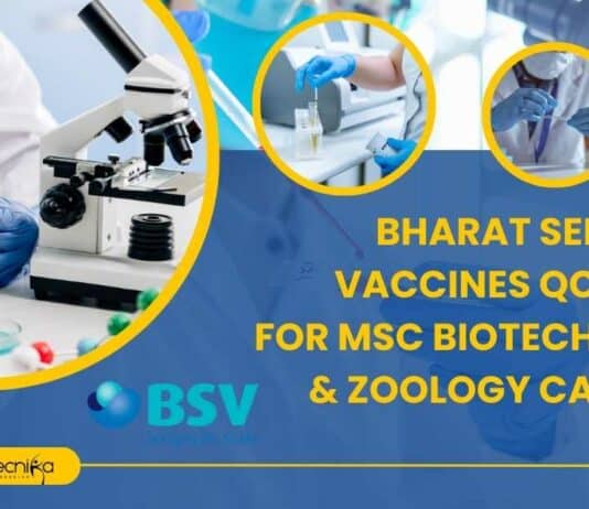 BSV Jobs For MSc