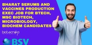 BSV Production Exec Job