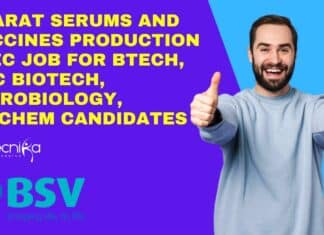 BSV Production Exec Job