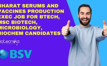 BSV Production Exec Job