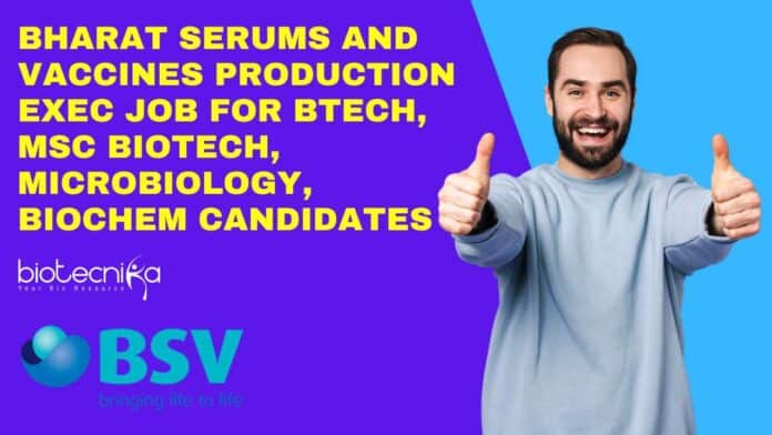 BSV Production Exec Job