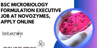 BSc Microbiology Jobs Novozymes