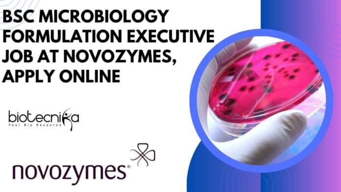 BSc Microbiology Jobs Novozymes