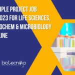 CCMB Project Jobs 2023