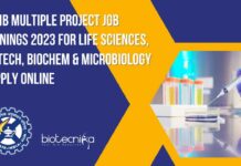 CCMB Project Jobs 2023
