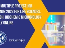 CCMB Project Jobs 2023