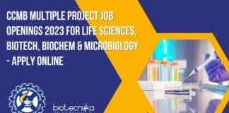 CCMB Project Jobs 2023