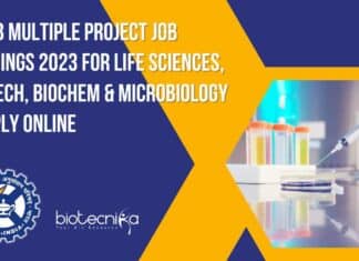 CCMB Project Jobs 2023