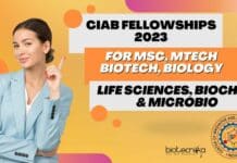 CIAB JRF Vacancies 2023