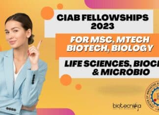 CIAB JRF Vacancies 2023