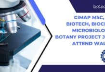 CIMAP Project Job Vacancies