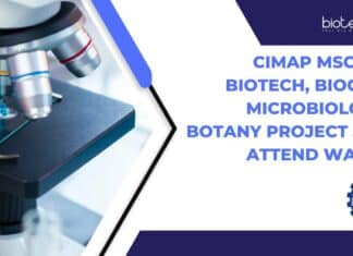 CIMAP Project Job Vacancies