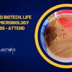 CLRI MSc, PhD Biotech, Life Sciences & Microbiology Project Jobs – Attend Walk-In CLRI Project Openings 2023
