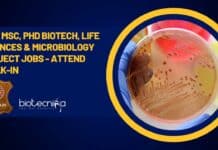CLRI MSc, PhD Biotech, Life Sciences & Microbiology Project Jobs – Attend Walk-In CLRI Project Openings 2023